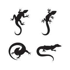 Lizard vector gecko icon logo