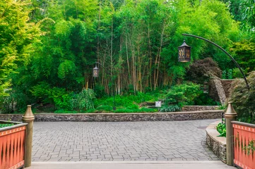 Selbstklebende Fototapeten Waldweg Bamboo views remind us that strength can be graceful, Nashville Zoo, Nashville, Tennessee, United States of America  © Auston Duong