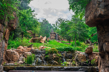The rigidity of stone and the softness of leaves create perfect balance, Nashville Zoo, Nashville, Tennessee, United States of America