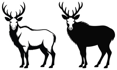 silhouette of a deer