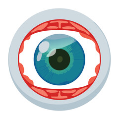 Illustration of a Human Eye with Teal Iris