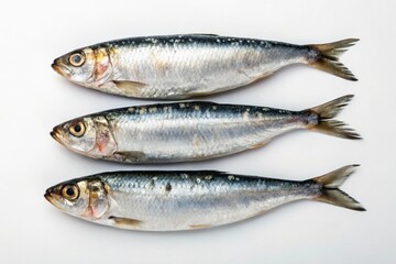 Obraz premium Three whole sardines, fresh fish 