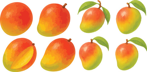 Hand-Painted Watercolor Mango Fruit Collection Whole and Sliced Tropical Fruit Isolated on Transparent Background for Packaging, Labeling, and Culinary Design | Generative AI