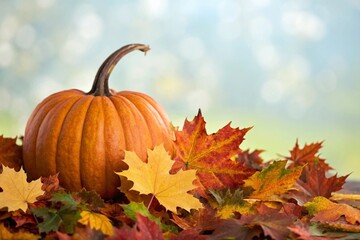 Two orange pumpkins with autumn leaves on a wooden surface.

