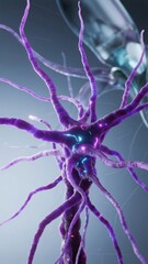 Fototapeta premium Illustration of a Neuron with Highlighted Synaptic Connections