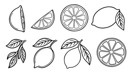 Collection of hand drawn black and white line art illustrations of lemons and lemon slices with leaves on a white background