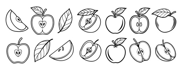 Collection of stylized black and white line art illustrations featuring whole apples halved apples apple slices and apple leaves presented in a horizontal arrangement on a clean white background