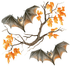Naklejka premium watercolor vector of Bats Fly Autumn Sky, isolated on a white background.
