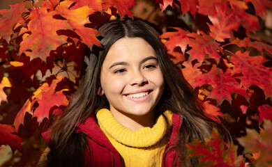 Autumn kid girl face on fall leaf background. Autumn child teenager girl 12, 13, 14 years old...