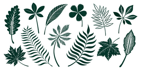 Versatile Leaf Vector Icons – Modern Botanical Silhouettes