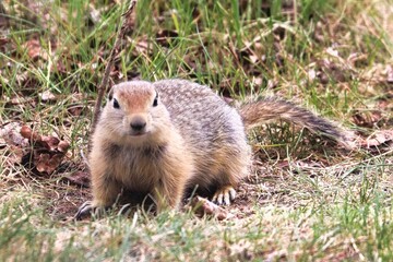 Yukon Territories, Canada