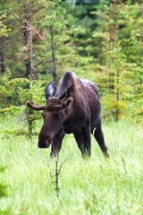 Yukon Territories, Canada