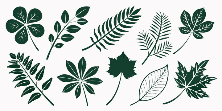 Botanical Silhouette Vector Set &ndash; Rounded, Pointed & Clover Leaves