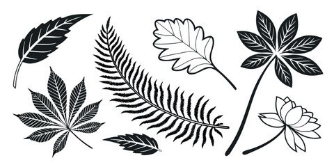 Botanical Silhouette Vector Set – Rounded, Pointed & Clover Leaves