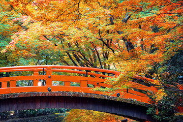 Kitano Tenmangu Shrine with beautiful vivid autumn colorful foliage in Kyoto, Japan