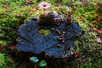 Whimsical Autumn Garden Scene: An Owl Figurine and Acorns Adorn a Mossy Tree Stump