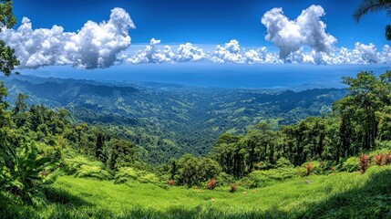 Panoramic vista of a lush valley nestled between forested mountains under a vibrant blue sky