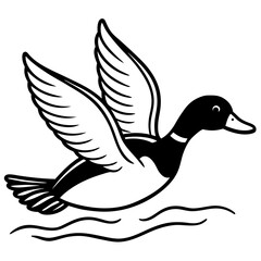 Obraz premium Stylized black and white illustration of a mallard duck flying low over water