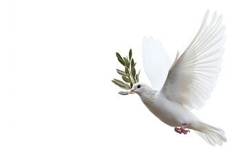 Fototapeta premium White Dove in Flight Carrying Olive Branch Symbolizing Peace and Hopeful Future