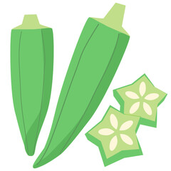 オクラ　夏野菜　輪切り　ベクターイラスト