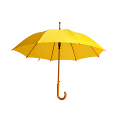  Yellow umbrella 