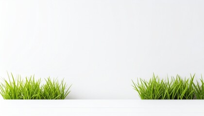 Green Grass on White Background