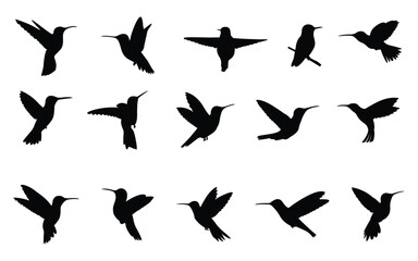 Set of hummingbird silhouettes in different flight poses. Vector illustration.