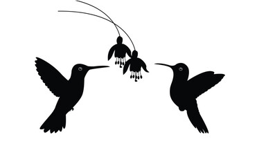 Hummingbird silhouette with flowers. Vector illustration.