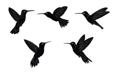 Hummingbird silhouette set logo isolated background. Vector illustration.