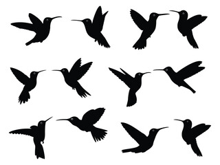 Set of hummingbird silhouette logo isolated on background in different poses. Vector illustration.