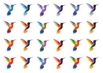 Set of colorful hummingbirds isolated on background. Vector illustration.illustration.