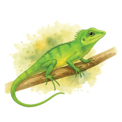 Green crested lizard watercolor illustration – Thai reptile animal