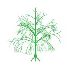 Simple, stylized illustration of a bare, green tree against a white background.