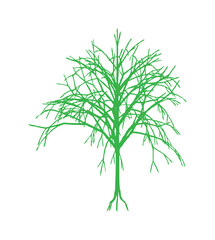 A stylized green illustration of a leafless tree, its branches reaching upwards against a white background.
