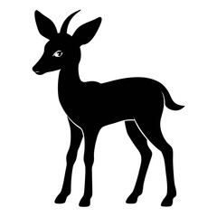 Antelope on white background