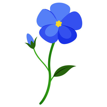 Blue Flax flower on white background 