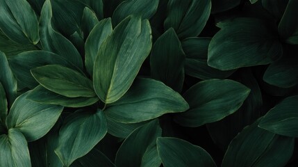 Dense foliage background exhibiting various shades of green hues and texture