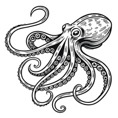 Fototapeta premium Engraved Octopus with Tentacles – Nautical Vector Illustration in Etching Style
