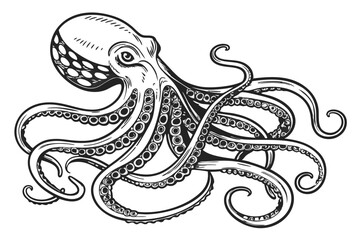 Octopus Vector Engraving – Etched Tentacled Sea Animal Illustration