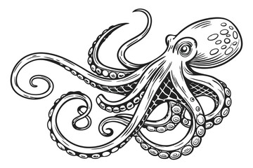 Fototapeta premium Octopus Vector Engraving – Etched Tentacled Sea Animal Illustration