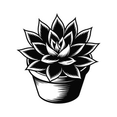 Elegant Black and White Succulent Plant in Pot Illustration Graphic