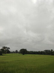 Green field, cloudy sky, lush grass, peaceful landscape, overcast weather, nature scenery