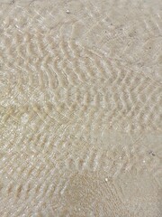 Sea, sandy beach, nature