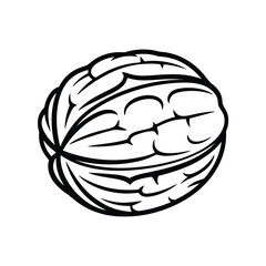 Black and white walnut illustration simple and clean design for various uses