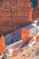 Sunrise Point Overlook at Bryce Canyon Amphitheater, Bryce Canyon National Park, Utah