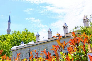 castle walls and bushes