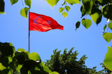 red flag and green leaves
