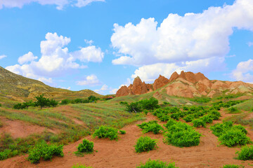 road in the countryside