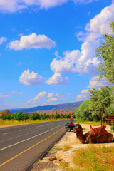 a country road with camel