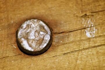 A close-up macro image of a metal nail embedded in a wooden surface